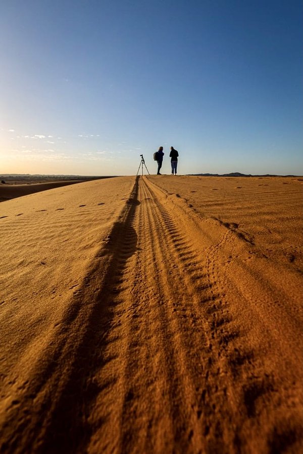 Où participer à un festival de musique traditionnelle dans le désert du Sahara ?
